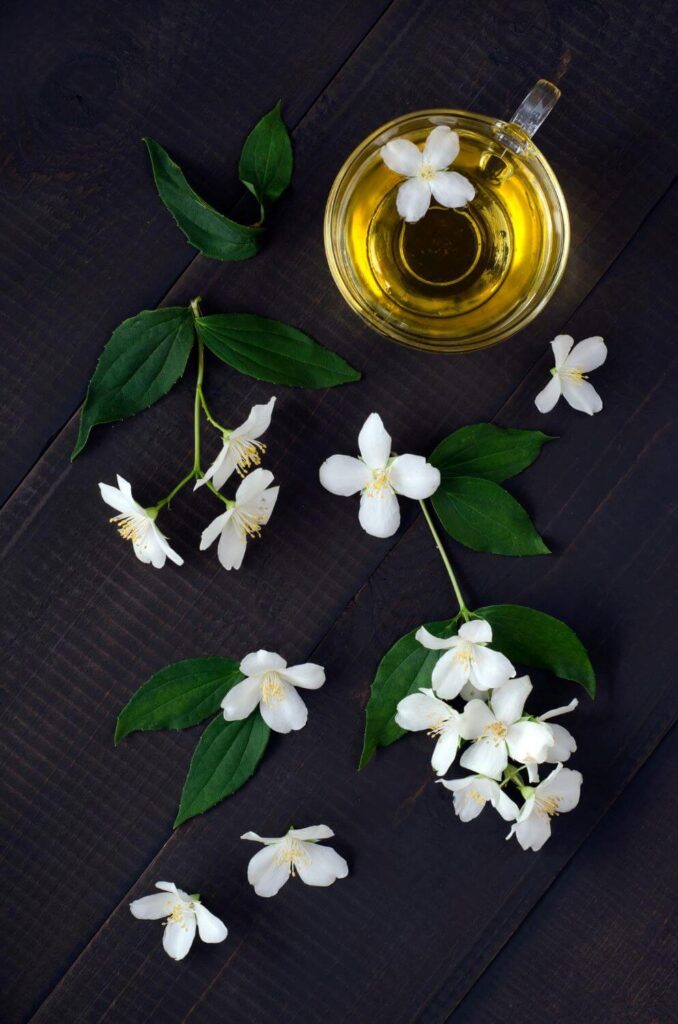 Jasmine flowers on a table next to a vial that contains a jasmine scented fragance