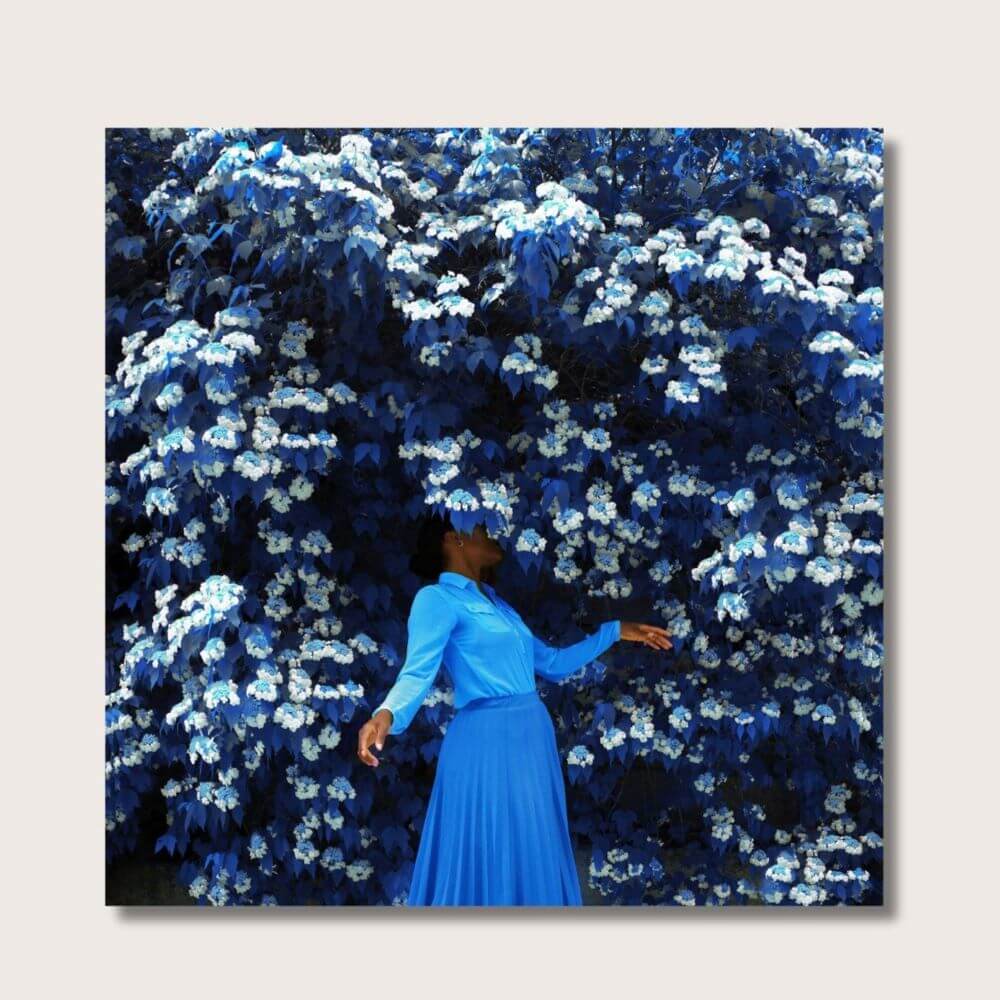 What to Get Mum for Mother's Day - Stunning print of a woman entirely dressed in blue and standing in front of a wall of white and blue flowers, with her face partially hidden by flowers