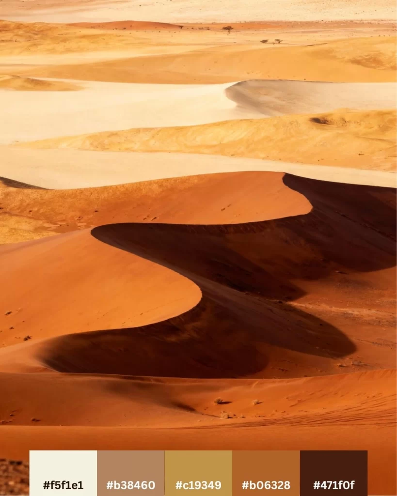 A sweeping view of rust-orange and sun-bleached desert dunes with deep shadows.