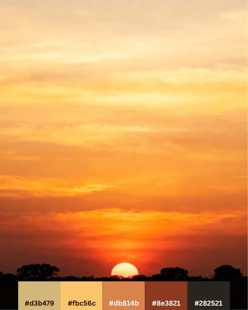 A vibrant, dramatic photograph of a sunset with the sun dipping below a silhouette of trees, showcasing intense yellow, orange, and red hues.