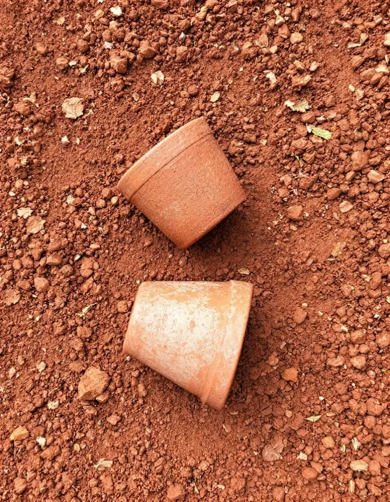 A top-down view of two small, weathered terracotta pots resting on a bed of dry, reddish-brown crushed clay and soil.