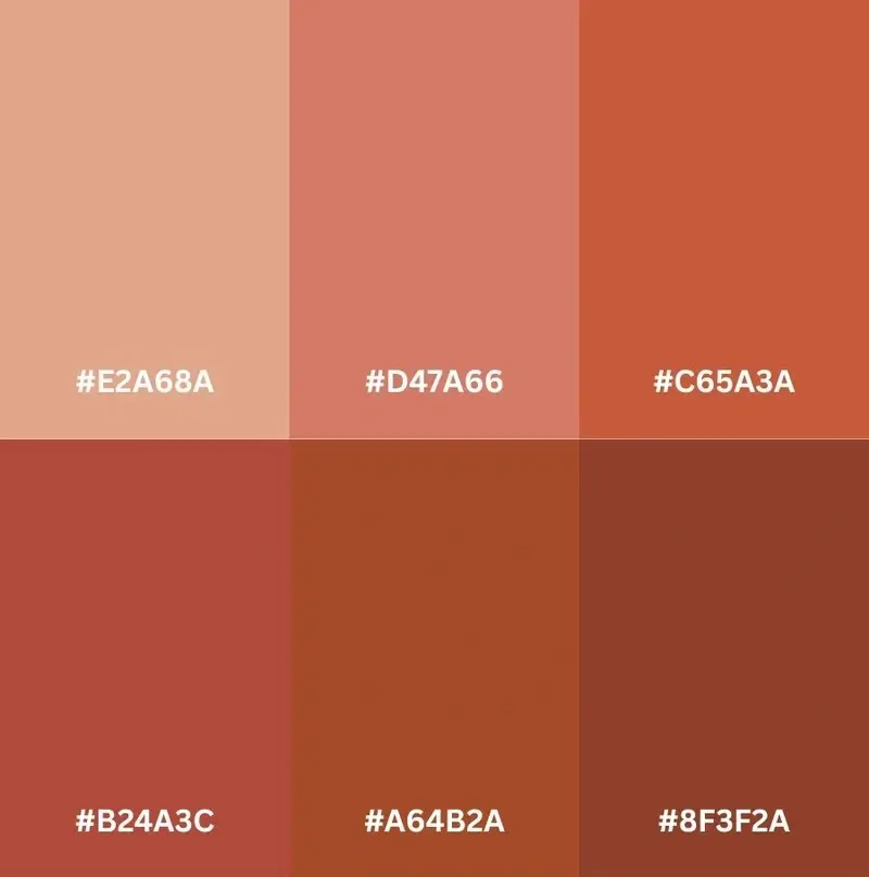 A grid of six square color swatches showing various shades of terracotta, ranging from light peach to deep brick red, with hex codes including #E2A68A and #8F3F2A.